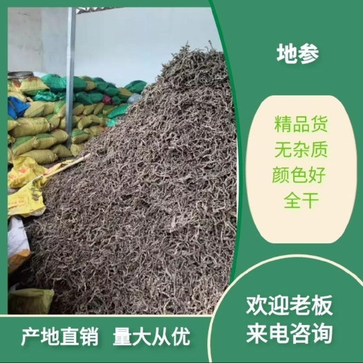 剑川县地参  ，虫草参产地直销，量大从优