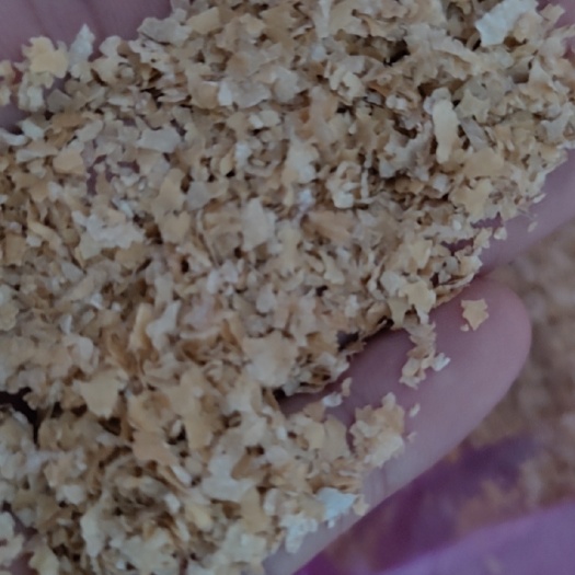 正定县低毒麦麸