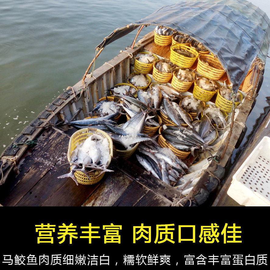 湛江深海馬鮫魚特大號(hào)新鮮中段肉片冷凍淡鹽袋裝鲅魚片順豐直達(dá)