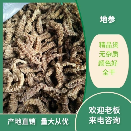 剑川县地参  精品虫草参，产地直销一手货源，干货，全年供货。