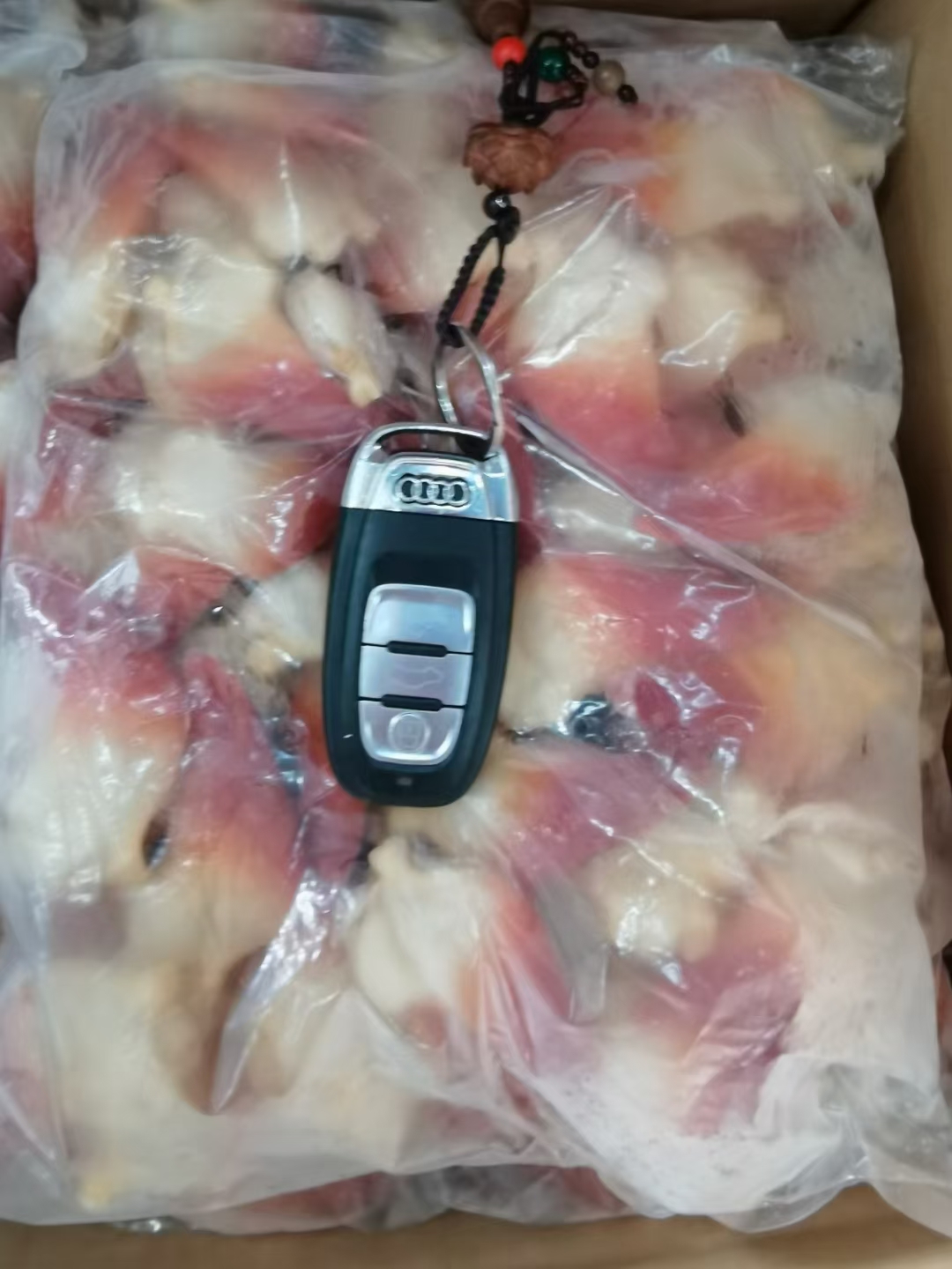 沈阳北极贝（未切）