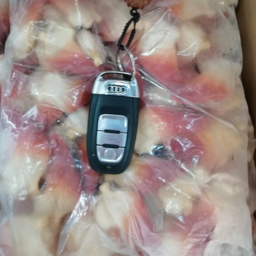 沈阳北极贝（未切）