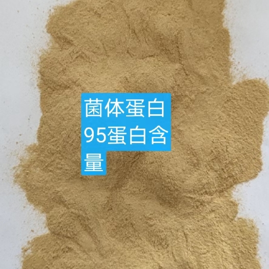 无棣县蛋白质补充饲料 菌体蛋白蛋白含量高达95，灰分6/7