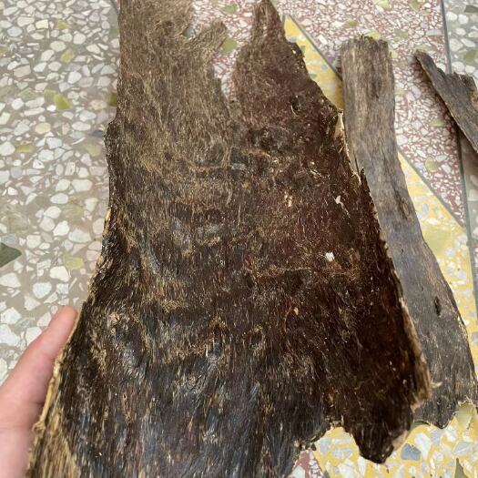 北流市沉香虎斑
