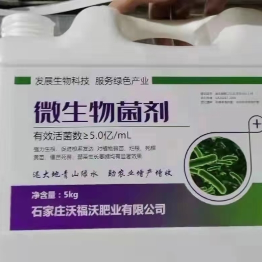 微生物菌剂     生根王  生根养根   营养液