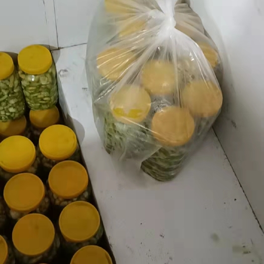 灌南县 豆丹  豆虫  高蛋白送老年人最好选择