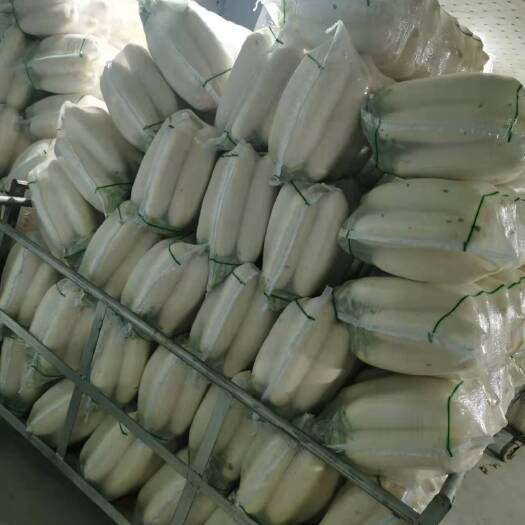 天门市 精品白萝卜