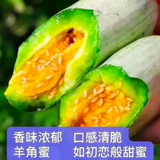 潍坊羊角蜜甜瓜产地直发，承接批发市场超市场团购电商微商平台