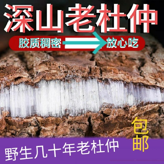 重庆市杜仲皮老树中药材杜仲泡茶煲汤泡酒补腰一斤起批包邮