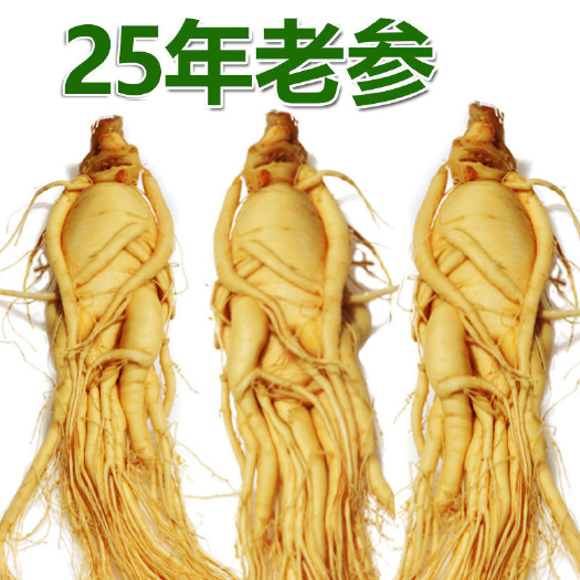 无棣县园参 人参长白山鲜人参泡酒炖汤高品质足龄保真东北特产保鲜参