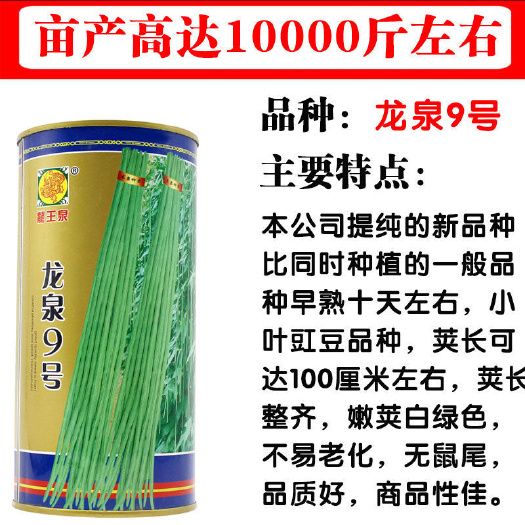 济南特长豆角种子新小福贵豇豆种子龙泉9号豆角种籽青条架豆种子