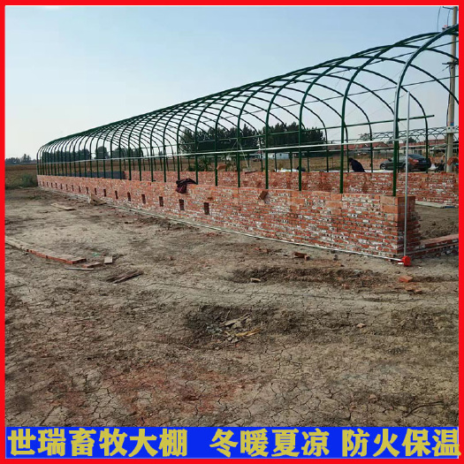 宁津县 建设养鸭大棚肉鸭养殖大棚搭建养鹅大棚施工安装厂家