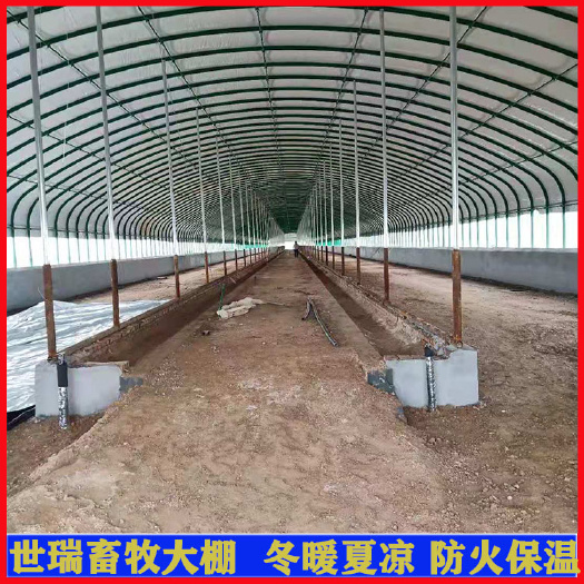 宁津县 黑山羊养殖大棚搭建简易羊舍大棚建设肉羊养殖棚安装建造