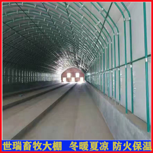 环保养鸡大棚施工肉鸡养殖大棚搭建防火养鸡棚安装