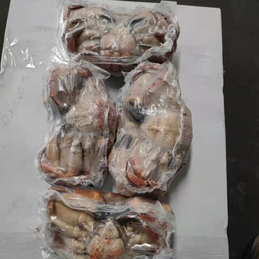 沈阳面包蟹