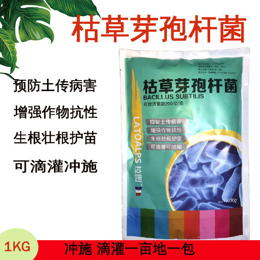 潍坊枯草芽孢杆菌200亿活菌还土养地生根防重茬微生物菌肥一亩地