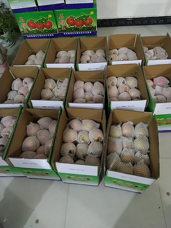 临潼石榴，临潼甜红石榴，果子4两至5两左右。