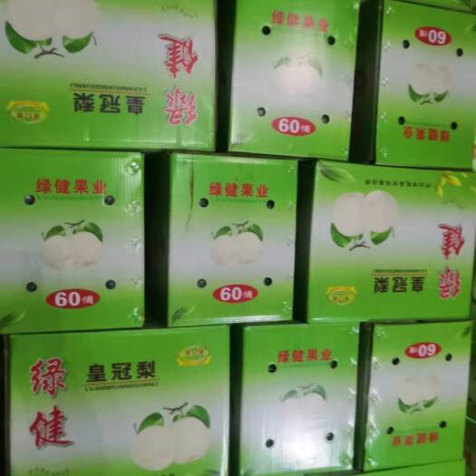 赵县雪花梨，皇冠梨