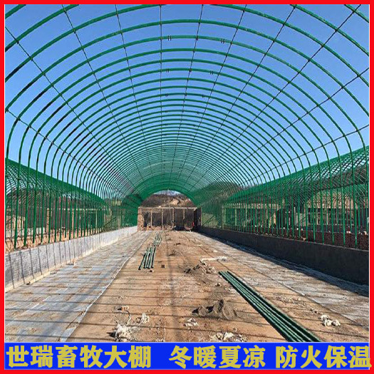 宁津县养殖大棚 新式养牛大棚黄牛养殖棚搭建环保牛舍大棚施工安装