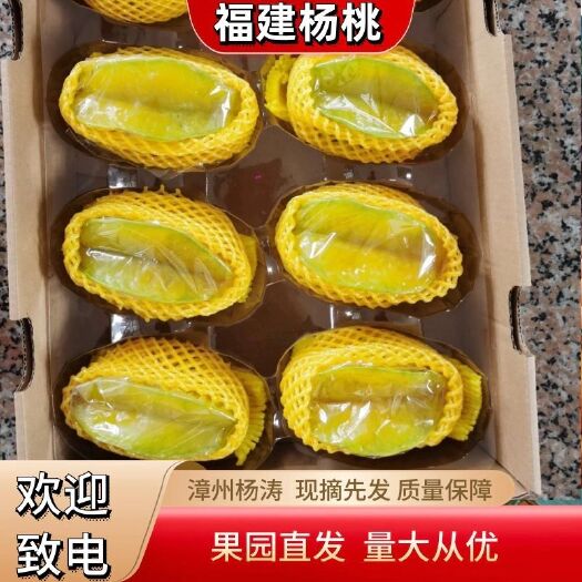云霄县香蜜杨桃  下河杨桃，甜蜜杨桃