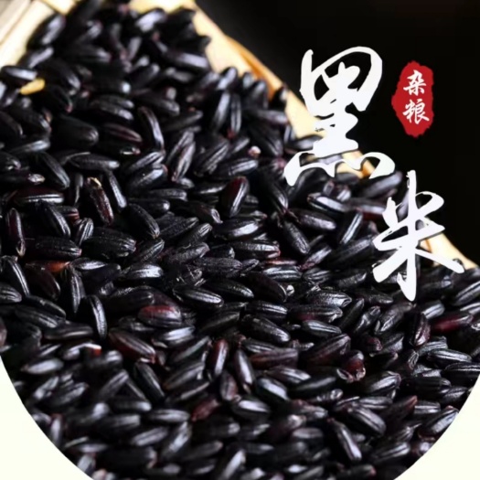 蔚县黑香米，河北张家口，颗粒均匀饱满，，质量保证，价格优