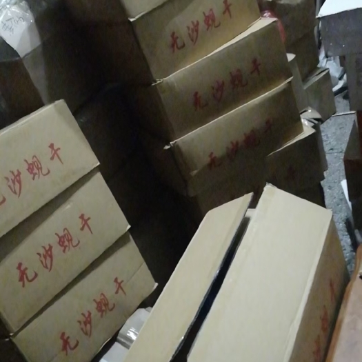 北海鱼干  北海特产 花甲螺肉干黄蚬子干白蚬子干蛤蜊干 9成干