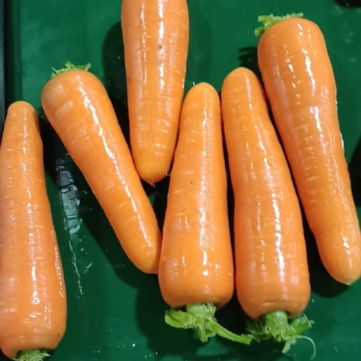 胡萝卜