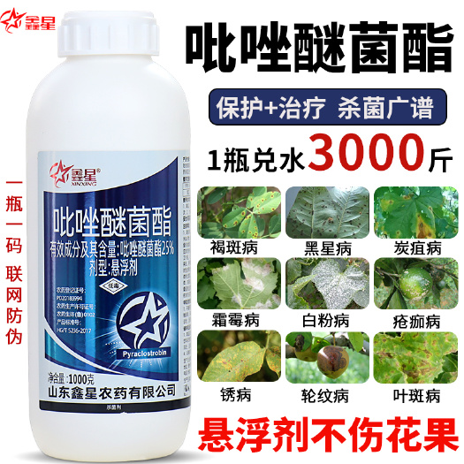 新沂市吡唑醚菌酯茵酯白粉病炭疽病叶斑病蔬菜花卉果树通用农药杀菌剂
