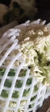 巨野县白花菜花 花菜