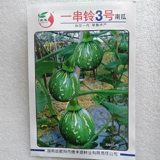 祁阳市 原包装一串铃2号3号4号南瓜种子早熟抗病丰产净含量5克/包