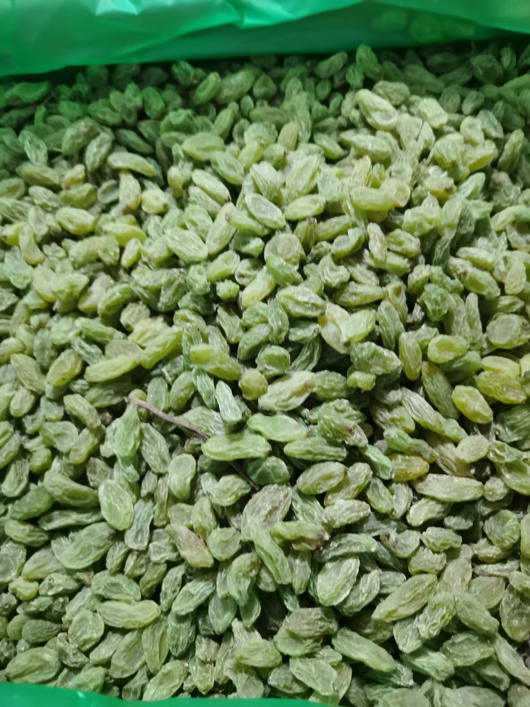 绿葡萄干 新疆吐鲁番市葡萄干果绿 饱满