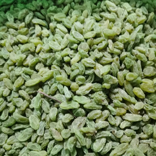 新郑市绿葡萄干 新疆吐鲁番市葡萄干果绿 饱满