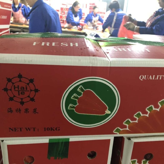 厦门三红胡萝卜 胡萝卜