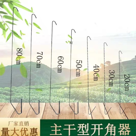 河北永德助果树拉枝器主干型30/40/50密植园果树拉枝厂