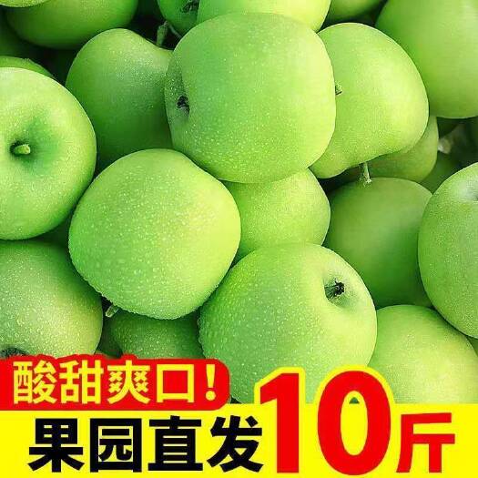 平陆县青苹果酸脆水果5/10斤酸甜青苹果水果当季新鲜青苹果