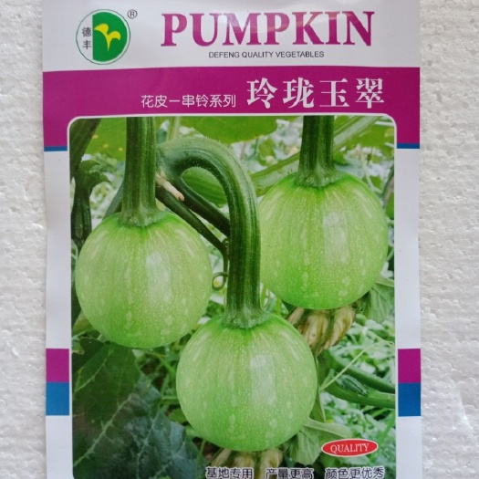 祁阳市原包装德丰花皮玲珑玉翠南瓜种子早熟耐寒果实嫩绿色净含量10