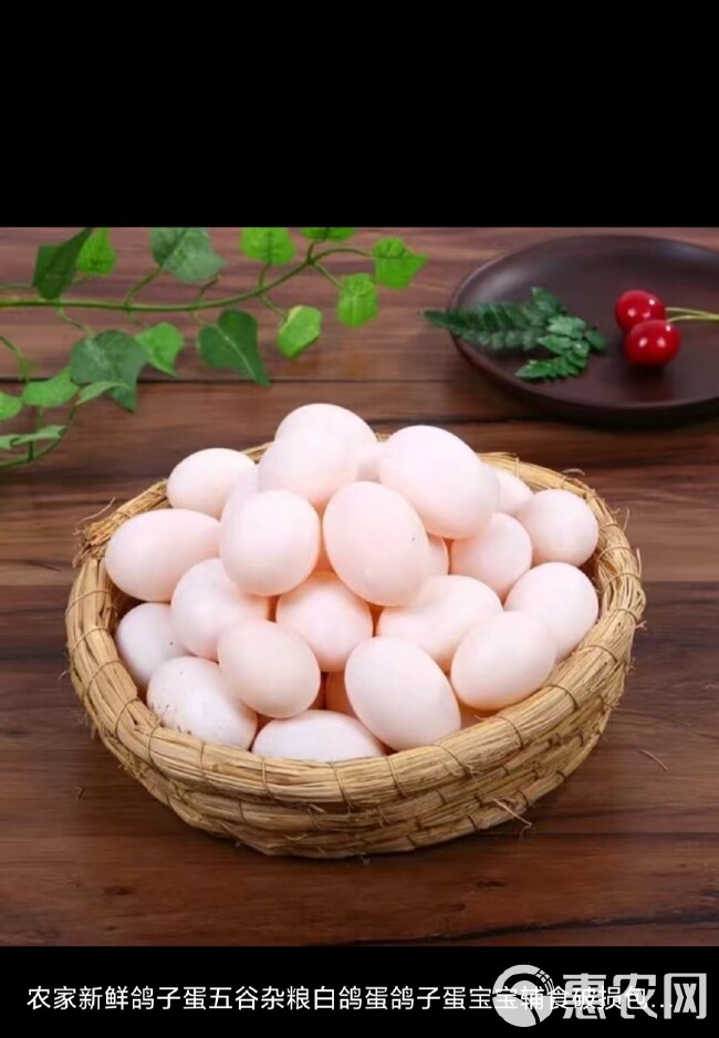 鸽子蛋   无精蛋  鲜蛋  初生蛋