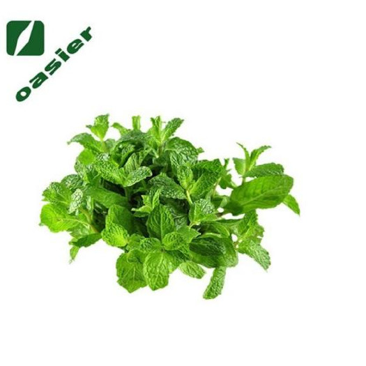 宝鸡饲料添加剂 欧泽生物 饲料级 薄荷提取物5:1 10:1 食品级薄荷粉