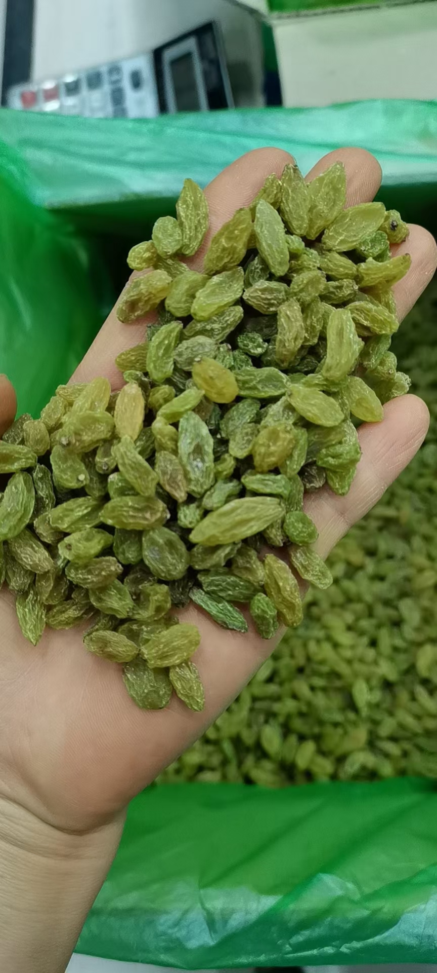 绿葡萄干 新疆吐鲁番市葡萄干果绿 饱满