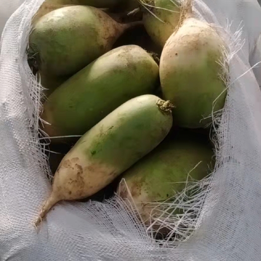 墨玉县青萝卜