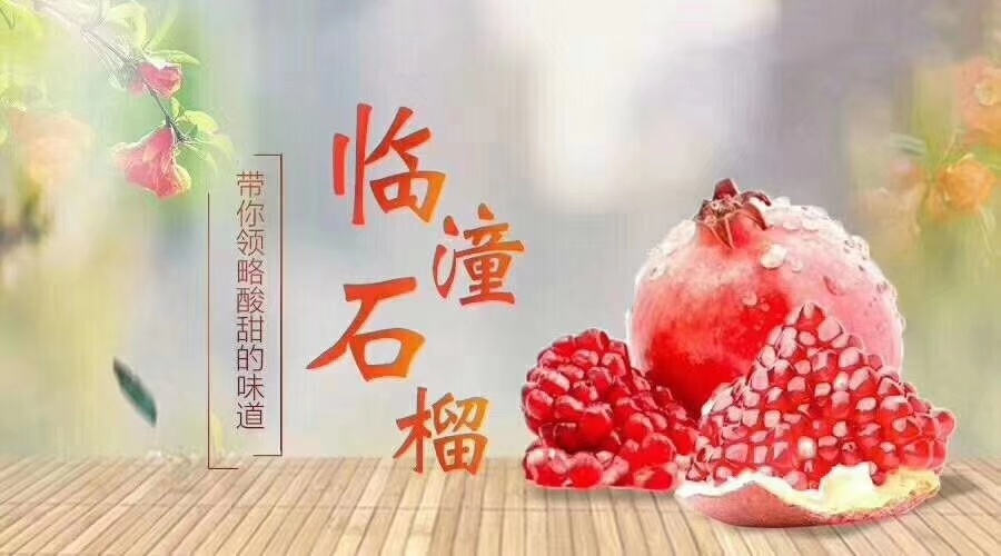 西安红石榴  今日优惠活动临潼石榴喜迎"双11"