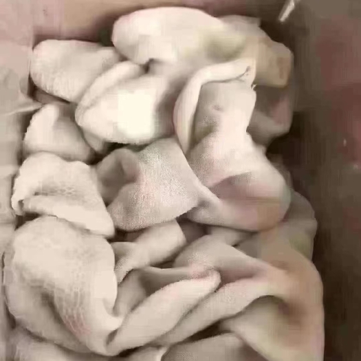 萧县 全熟羊肚