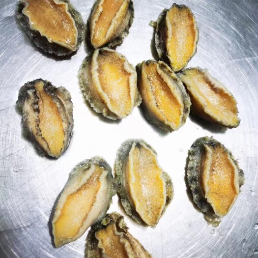 鲍鱼【海头厂家】鲍鱼肉 鲍鱼净肉 肉质上乘 佛跳墙 大盆菜