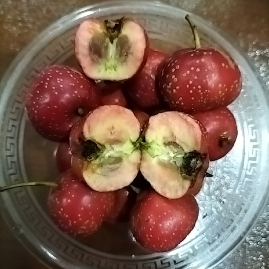蒙阴县甜山楂 来自沂蒙山的山楂