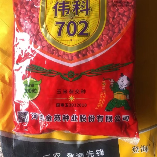开封伟科702玉米种高产玉米第一名玉米种子国审白轴大棒苞谷棒子