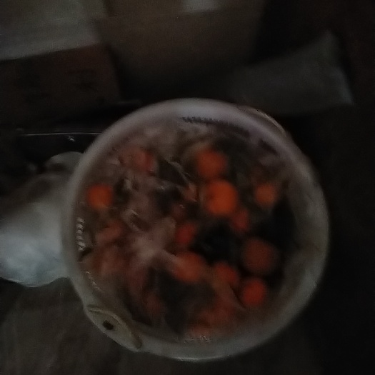 丰顺县椪柑 大橘，年橘，潮州柑，量大，需要的联系
