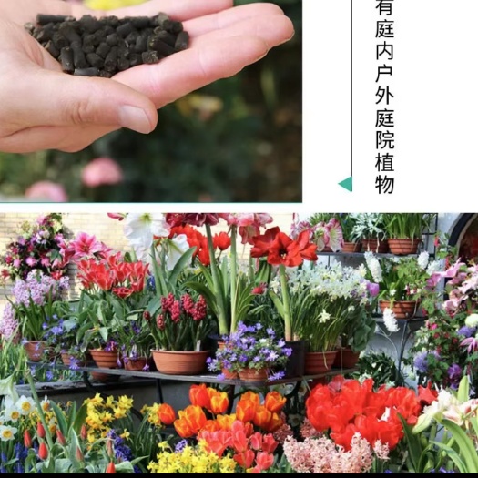 纯蛋鸡粪发酵的有机肥，不添加秸秆等任何其它作物，益生菌基础