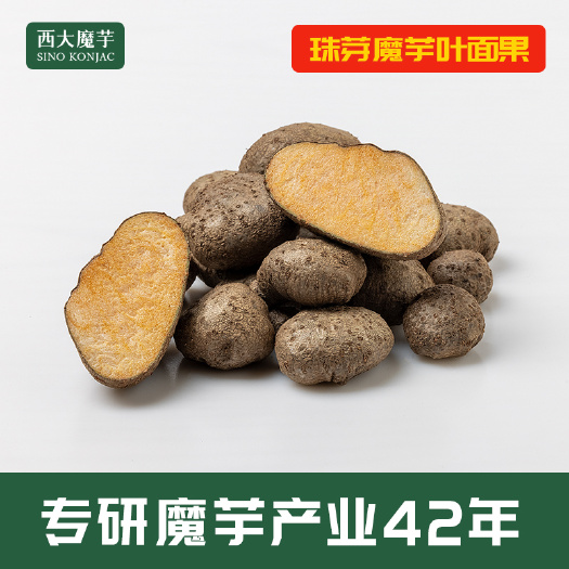 勐海县魔芋种子  珠芽魔芋种芋 珠芽黄珠芽白叶面果及球茎种  高出