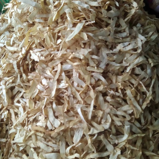 常宁市湘玉竹 精选大片