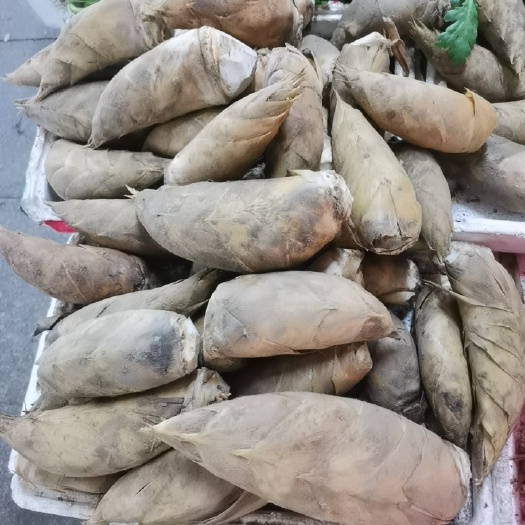 寧海縣冬筍